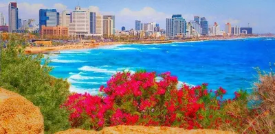 Travel the World Vegan-Style: Top Foodie Destinations